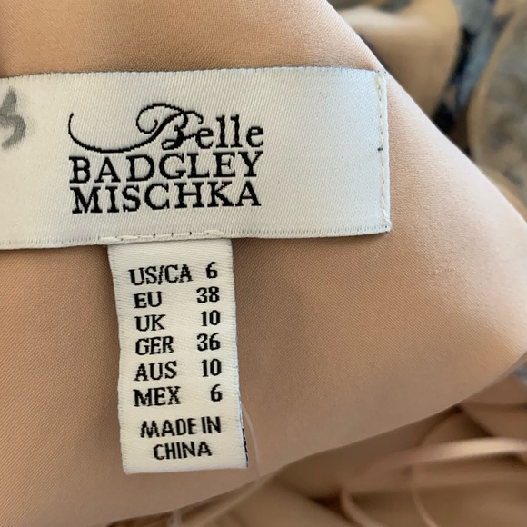 Belle BADGLEY MISCHKA 💙floral embroiled dress size 6 - Picture 9 of 10